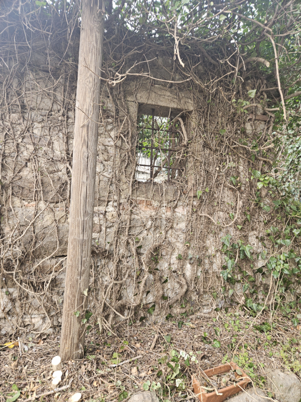 Situato nel pittoresco comune di Vò, nella tranquilla zona di Zovon, vi presentiamo un affascinan...
