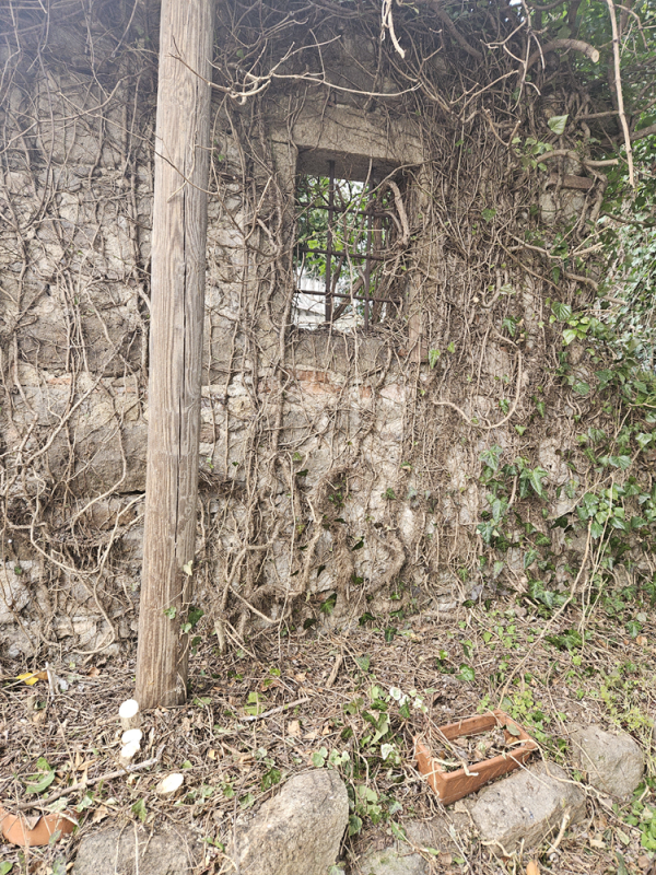 Situato nel pittoresco comune di Vò, nella tranquilla zona di Zovon, vi presentiamo un affascinan...