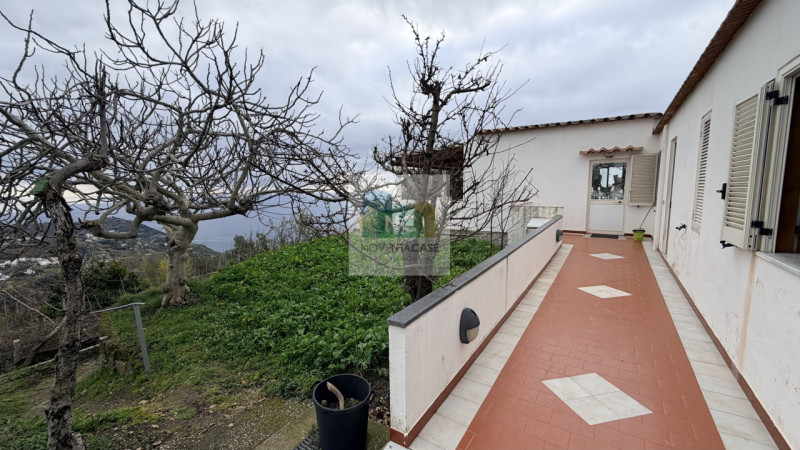 Scopri questa affascinante casa singola situata nel cuore di Serrara Fontana, precisamente nella ...