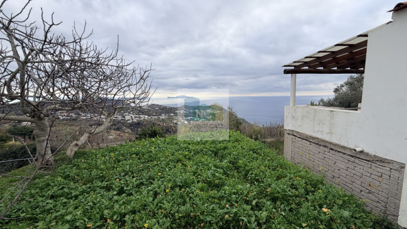 Scopri questa affascinante casa singola situata nel cuore di Serrara Fontana, precisamente nella ...
