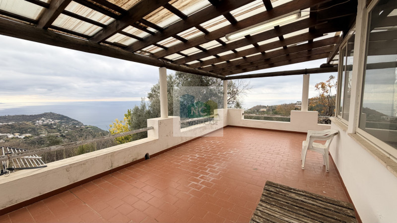 Scopri questa affascinante casa singola situata nel cuore di Serrara Fontana, precisamente nella ...