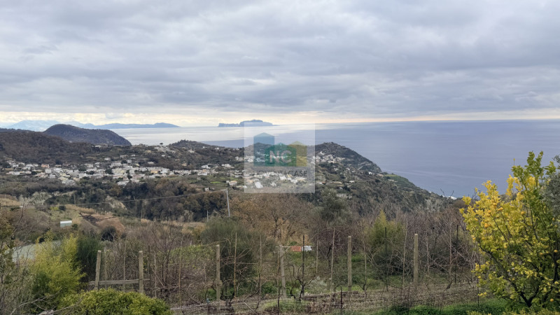 Scopri questa affascinante casa singola situata nel cuore di Serrara Fontana, precisamente nella ...