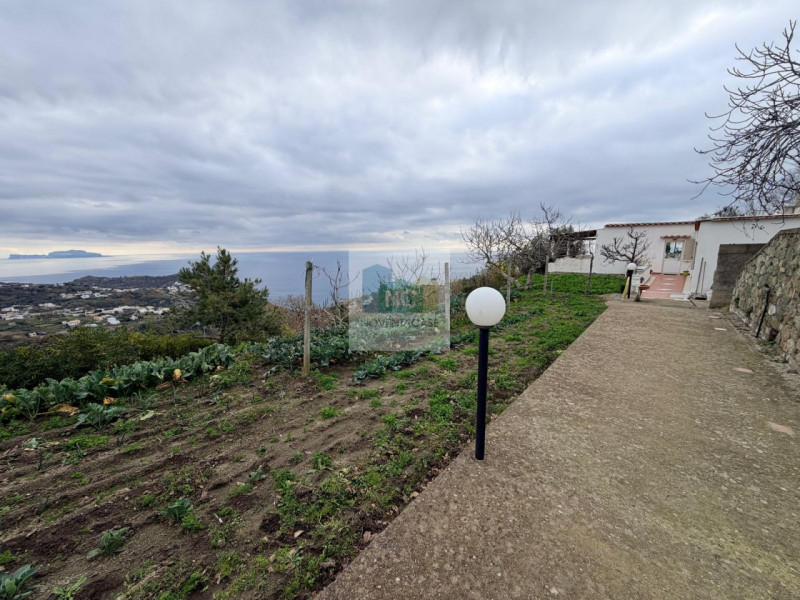 Scopri questa affascinante casa singola situata nel cuore di Serrara Fontana, precisamente nella ...