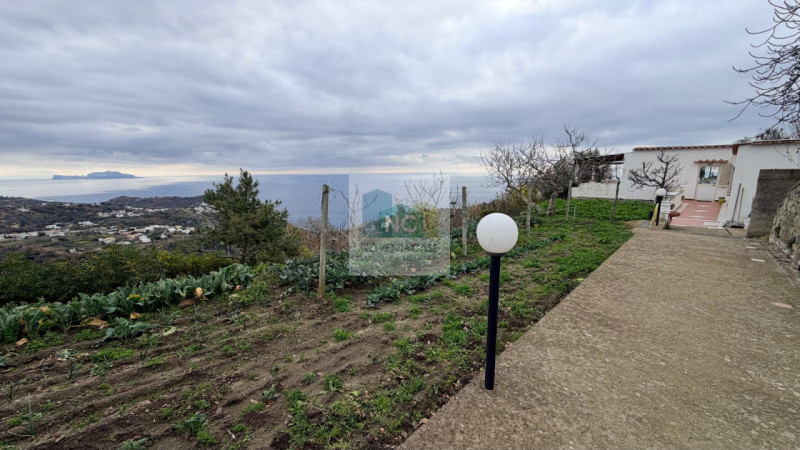 Scopri questa affascinante casa singola situata nel cuore di Serrara Fontana, precisamente nella ...