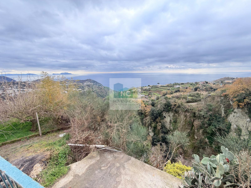 Scopri questa affascinante casa singola situata nel cuore di Serrara Fontana, precisamente nella ...