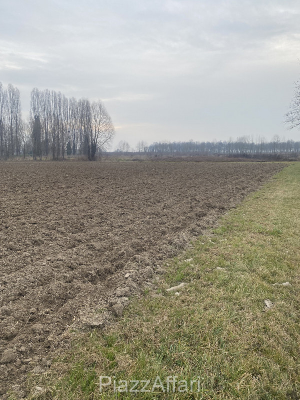 Sant'Angelo di Piove di Sacco vendesi terreno agricolo di forma regolare di mq 10.190. 


RIF. SP...