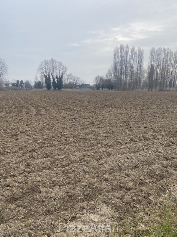 Sant'Angelo di Piove di Sacco vendesi terreno agricolo di forma regolare di mq 10.190. 


RIF. SP...