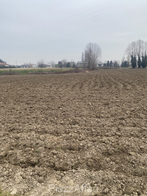 Sant'Angelo di Piove di Sacco vendesi terreno agricolo di forma regolare di mq 10.190. 


RIF. SP...