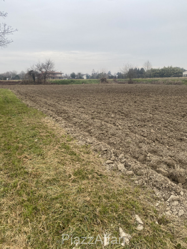 Sant'Angelo di Piove di Sacco vendesi terreno agricolo di forma regolare di mq 10.190. 


RIF. SP...