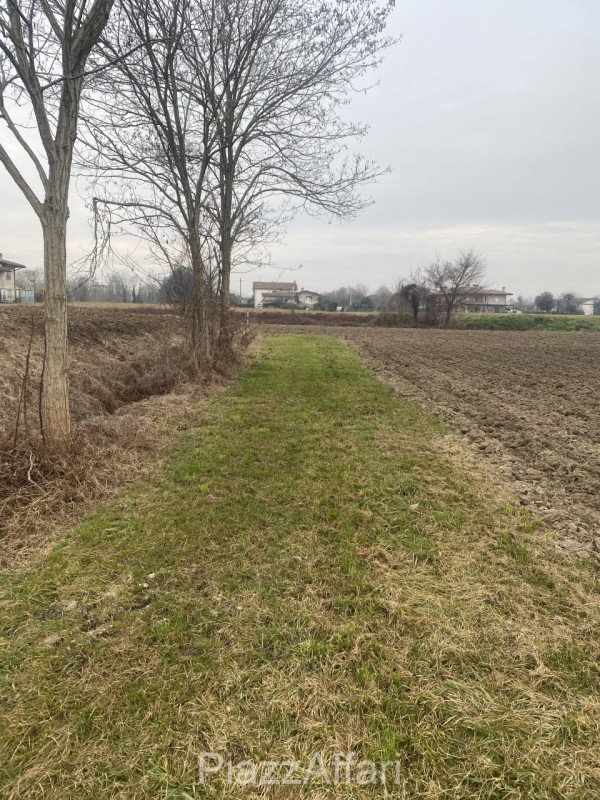 Sant'Angelo di Piove di Sacco vendesi terreno agricolo di forma regolare di mq 10.190. 


RIF. SP...