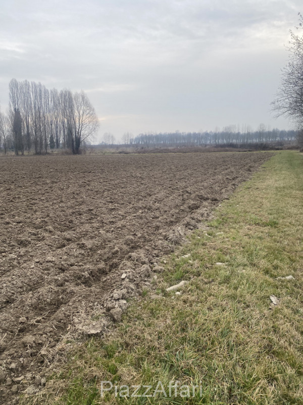 Sant'Angelo di Piove di Sacco vendesi terreno agricolo di forma regolare di mq 10.190. 


RIF. SP...