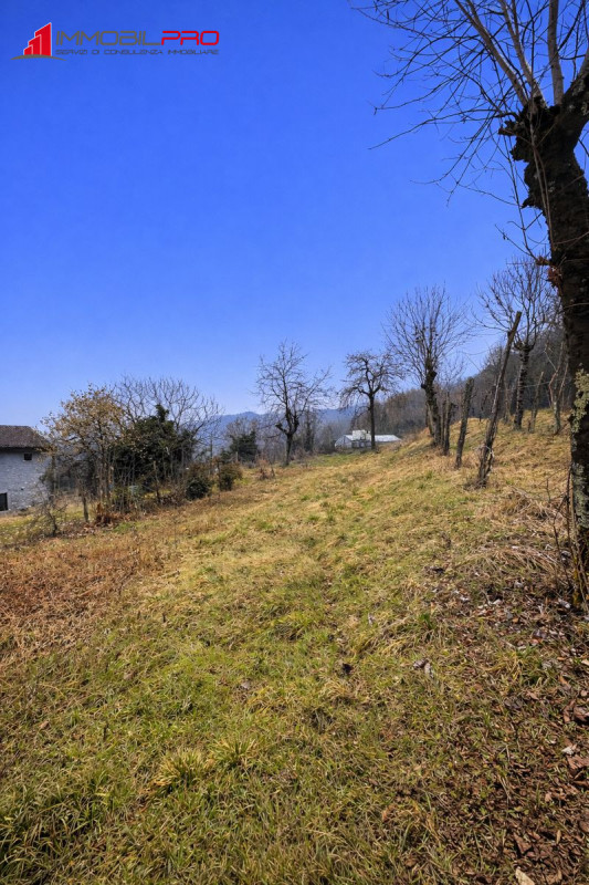 Immagina uno spazio tutto tuo, circondato dal verde e dalla tranquillità delle colline di Monte M...