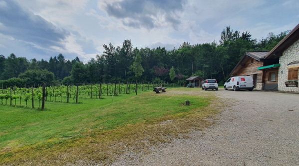 Rif. A.A.88-241

Vendita all'asta - terreno boschivo con annesso rustico in data 10 marzo 2026

D...