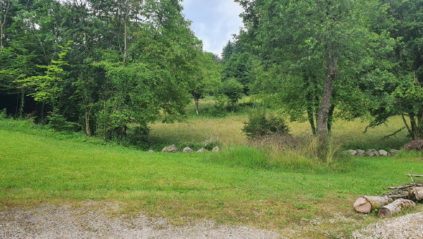 Rif. A.A.88-241

Vendita all'asta - terreno boschivo con annesso rustico in data 10 marzo 2026

D...