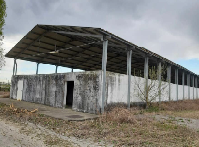 Rif. A.A.635-19

Vendita all'asta - capannoni agricoli, terreni ed accessori in data 06 marzo 202...