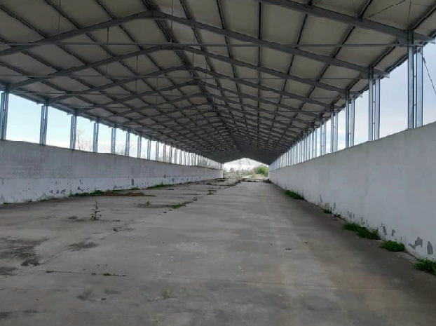 Rif. A.A.635-19

Vendita all'asta - capannoni agricoli, terreni ed accessori in data 06 marzo 202...