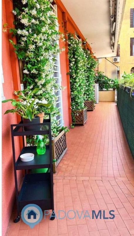 Immobile in esclusiva al Gruppo Padova MLS

Nel cuore della rinomata zona Portello Istituti di Pa...