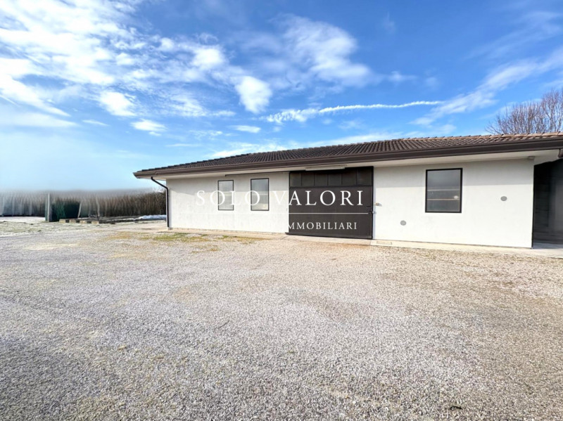 Rif. C350 – Deposito Attrezzi a Piombino Dese (Frazione)

Per info: Marco 340 2242606

In contest...