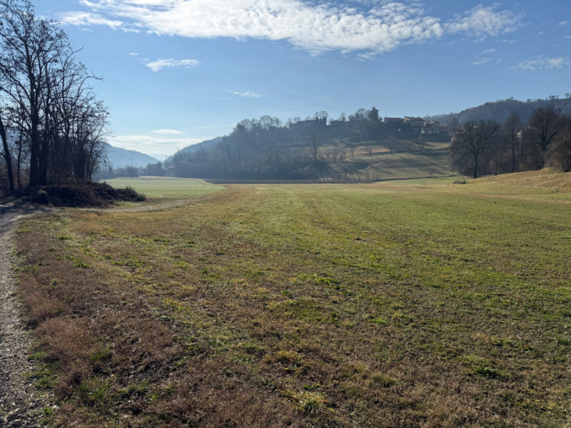 TERRENO AGRICOLO DI CIRCA MQ. 21.000 A SOVIZZO COLLE EX GAMBUGLIANO. EURO 100.000. CODICE 4595. P...