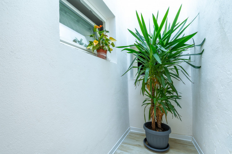 VICENZA CENTRO: in centro storico, all'interno delle mura storiche ma appena al di fuori dalla Z....