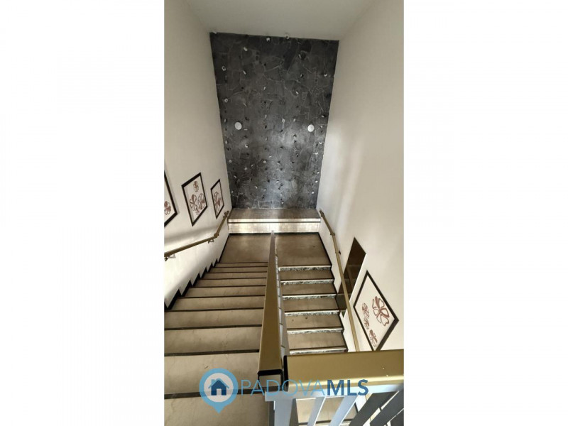 Immobile in esclusiva al Gruppo Padova MLS
ARCELLA – STAZIONE  STRUTTURA COMMERCIALE con scoperto...