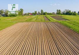 OTTIMA OPPORTUNITA'...VENDESI IN PROSSIMITA' DEL CENTRO PAESE VICINO A STRADA ASFALTATA
- LOTTO D...