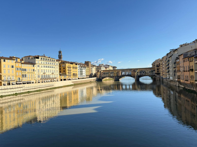 FIRENZE  zona Palazzo Pitti
Nel cuore storico di Firenze, a due passi da Palazzo Pitti e dai Giar...