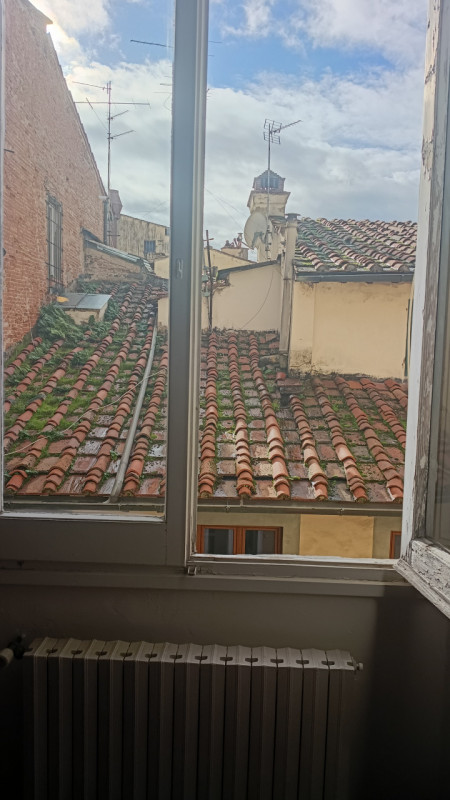 FIRENZE  zona Palazzo Pitti
Nel cuore storico di Firenze, a due passi da Palazzo Pitti e dai Giar...