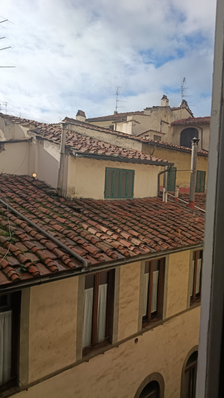 FIRENZE  zona Palazzo Pitti
Nel cuore storico di Firenze, a due passi da Palazzo Pitti e dai Giar...