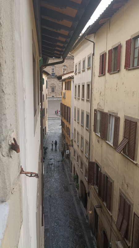 FIRENZE  zona Palazzo Pitti
Nel cuore storico di Firenze, a due passi da Palazzo Pitti e dai Giar...