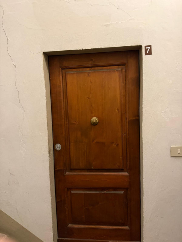 FIRENZE  zona Palazzo Pitti
Nel cuore storico di Firenze, a due passi da Palazzo Pitti e dai Giar...