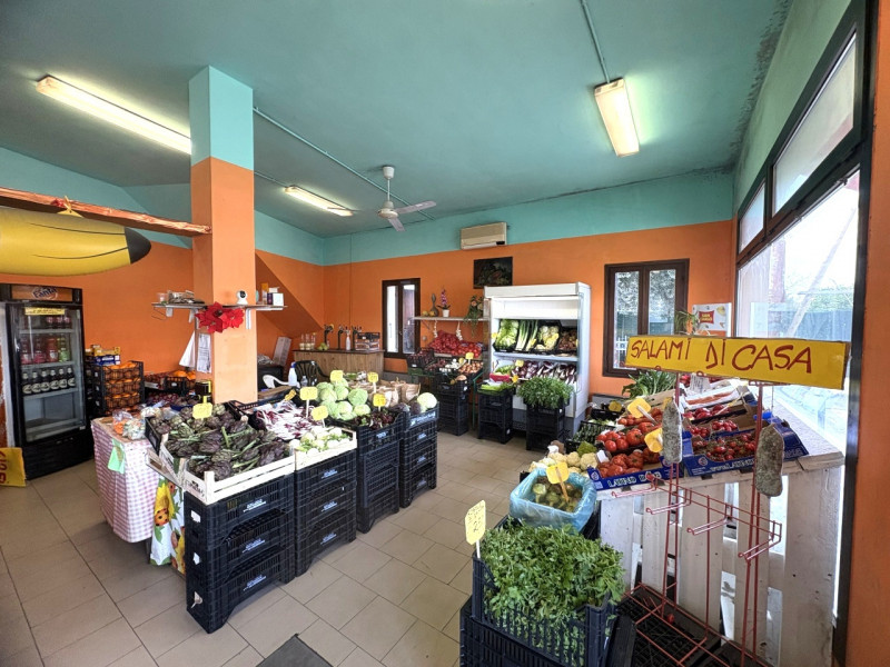 Nel pieno centro di Teolo, lungo una delle principali arterie del paese, proponiamo in vendita un...