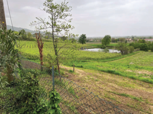 Rif. A.A.511-232

Vendita all'asta - terreni a vigneto in data 17 marzo 2026

Descrizione: tratta...