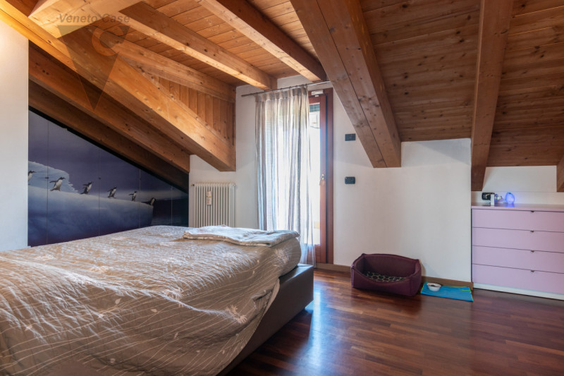 Proponiamo tra Ponte San Nicolò e Voltabarozzo, su strada tranquilla e poco trafficata, una recen...