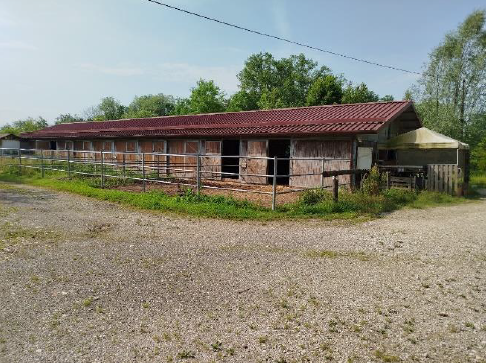 A.A. 61-241

Vendita all'asta - scuderia per cavalli con terreno in data 17 marzo 2026

Descrizio...