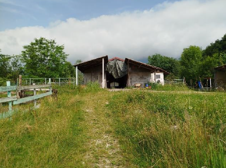 A.A. 61-241

Vendita all'asta - scuderia per cavalli con terreno in data 17 marzo 2026

Descrizio...