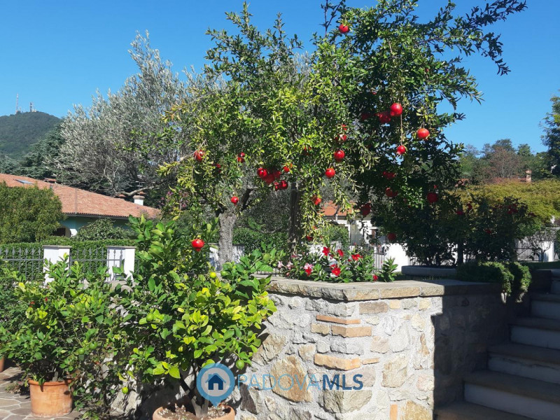 Immobile in esclusiva al Gruppo Padova MLS
Nel suggestivo Comune di Baone proponiamo in vendita u...