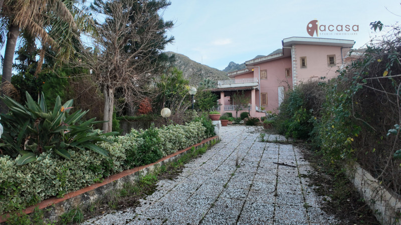 Immagine 2