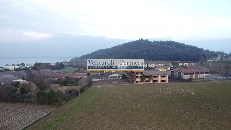 Immagine 6