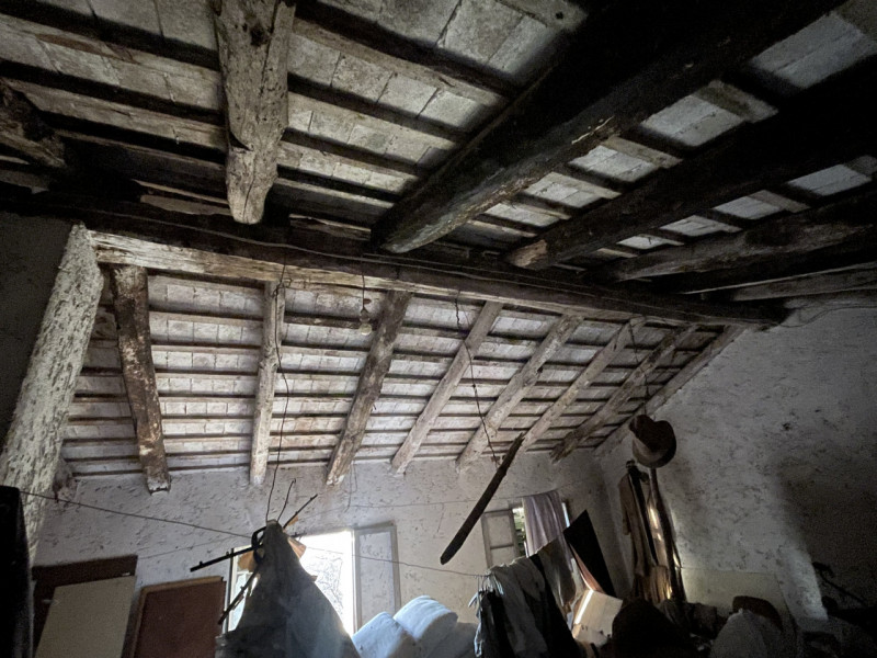 NOSTRA ESCLUSIVA: lungo il lato nord della Valcavasia in prossimità dell'asolo Golf Club siamo pr...