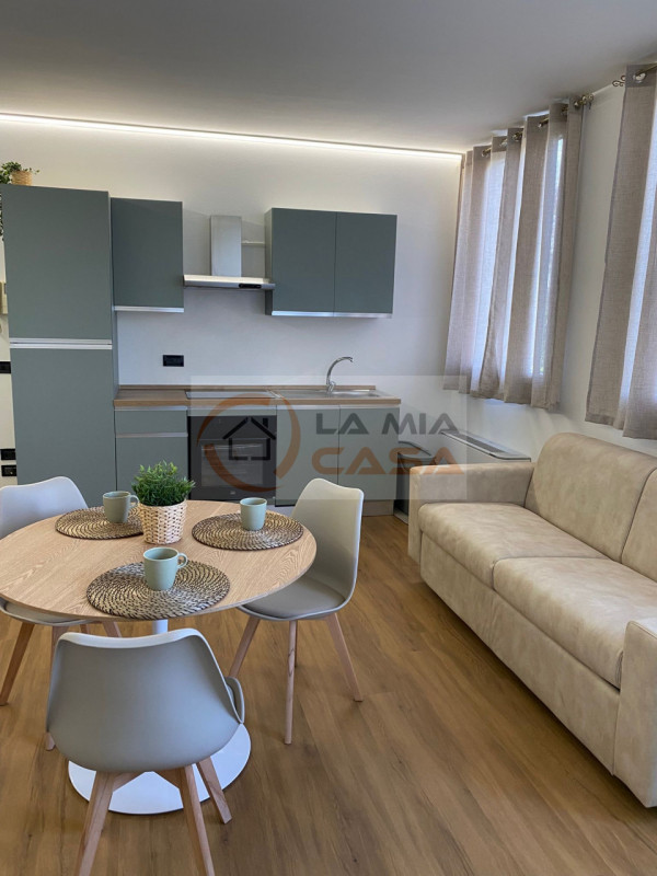 PONTE SAN NICOLO - RONCAGLIA: Monolocale completamente ristrutturato al piano terra, in palazzina...