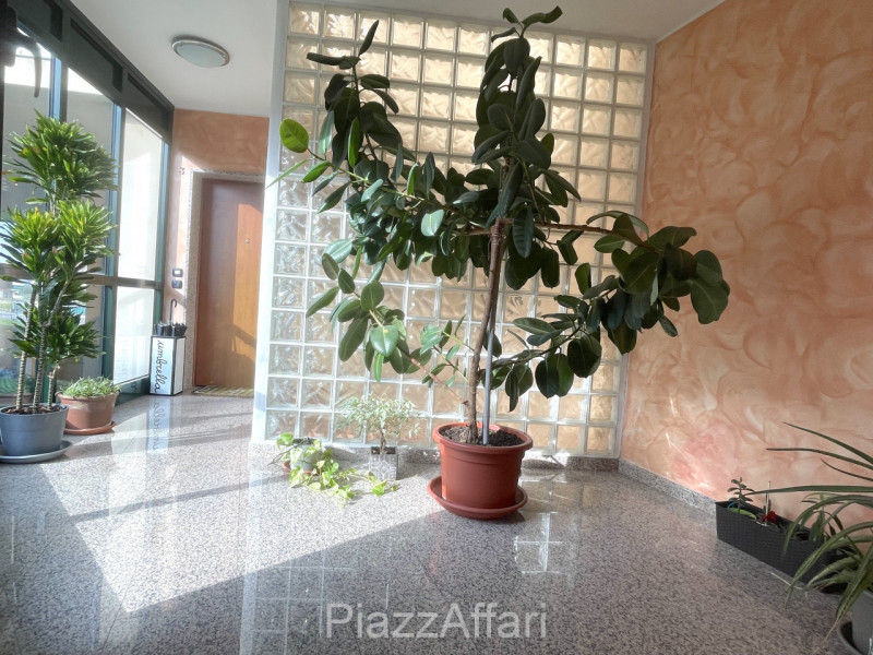 LIBERO DA SUBITO, appartamento al primo piano servito da ascensore, con 2 ampie logge abitabili e...