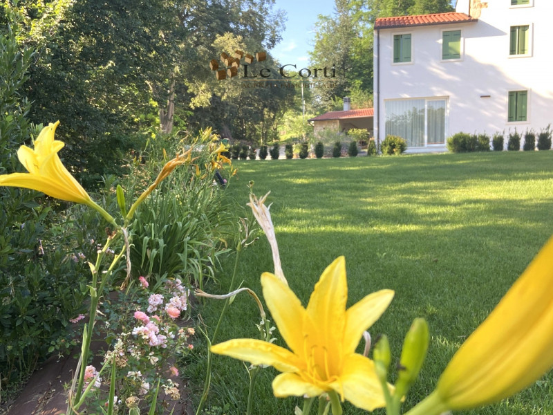 Negozio in Vendita