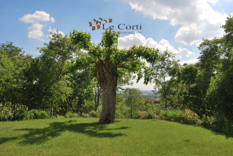 Situata sulle colline di Lonigo,  con splendida vista panoramica sulla pianura, proponiamo una be...