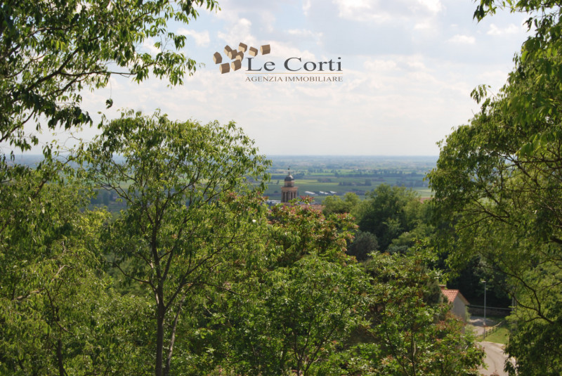 Situata sulle colline di Lonigo,  con splendida vista panoramica sulla pianura, proponiamo una be...