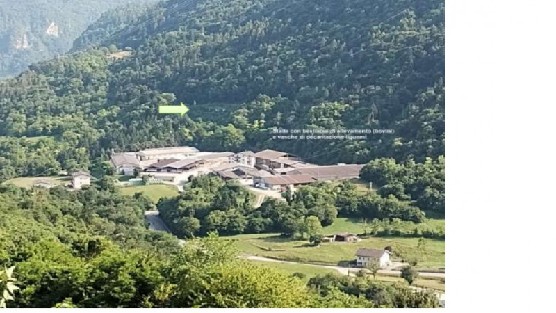 Rif. A.Q. 22-25

Vendita all'asta - abitazione in linea in data 31 marzo 2026 

Descrizione: Trat...