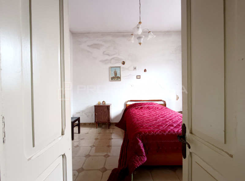 Immagine 6
