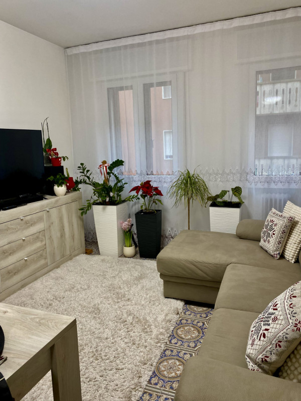 Nel cuore del quartiere San Carlo, una delle zone più apprezzate e servite di Padova, proponiamo ...