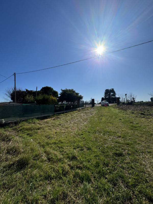 COMPOSIZIONE:
Proponiamo in vendita porzione di bifamiliare attualmente allo stato grezzo. Al pia...