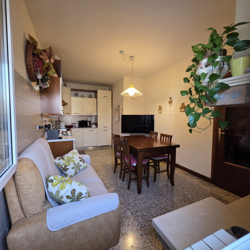 disponibile bella casa singola composta da ingresso carraio e pedonale indipendente. Al piano ter...